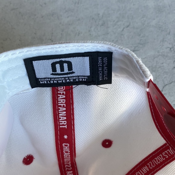 Limited Edition Chicago Bulls Artist Series Hat/Cap - Picture 5 of 8